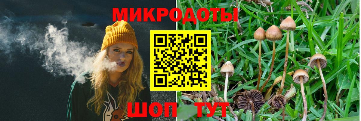 Магнитогорск  даркнет сайт  Вход с VPN  Псилоцибиновые грибы Cubensis 